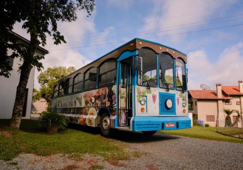 f8836d78-350c-4fef-abaf-1a3af9e86824.large